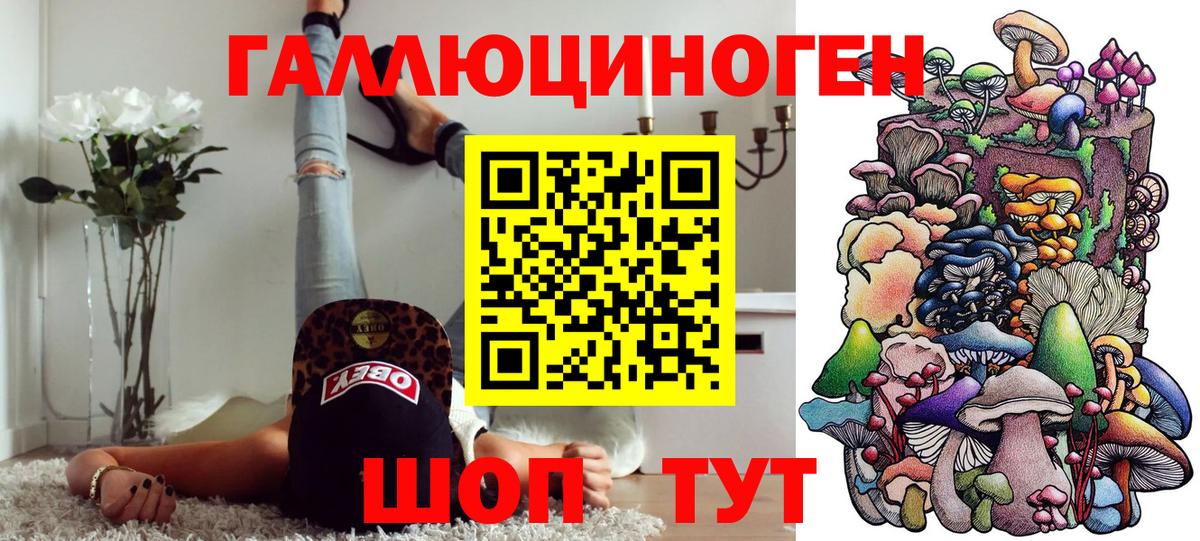 Галлюциногенные грибы Psilocybine cubensis  Вход с VPN  Нарьян-Мар 